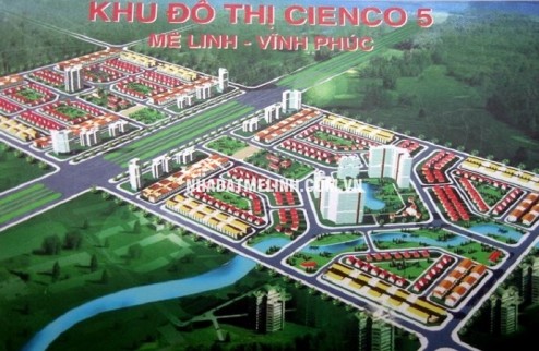 Bán đất đường 24m, khu B dự án Cienci 6